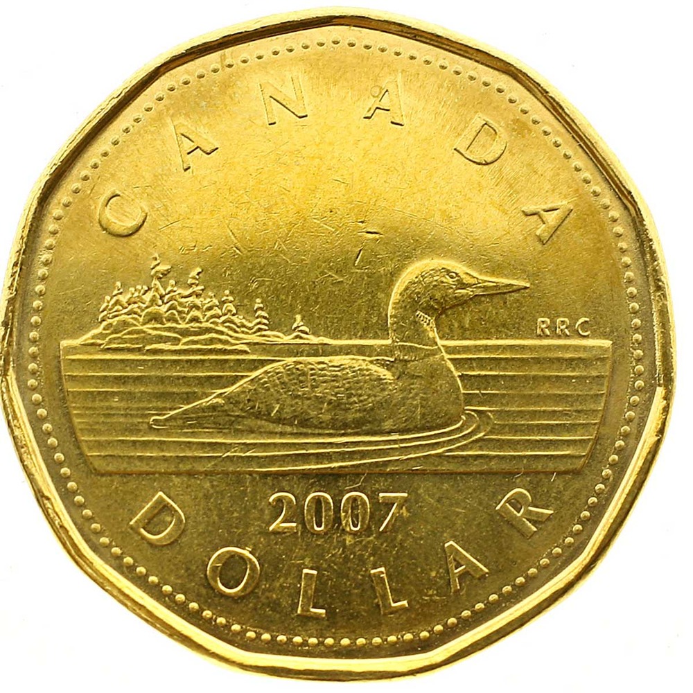 Loonie Meaning Overview Role in Economy