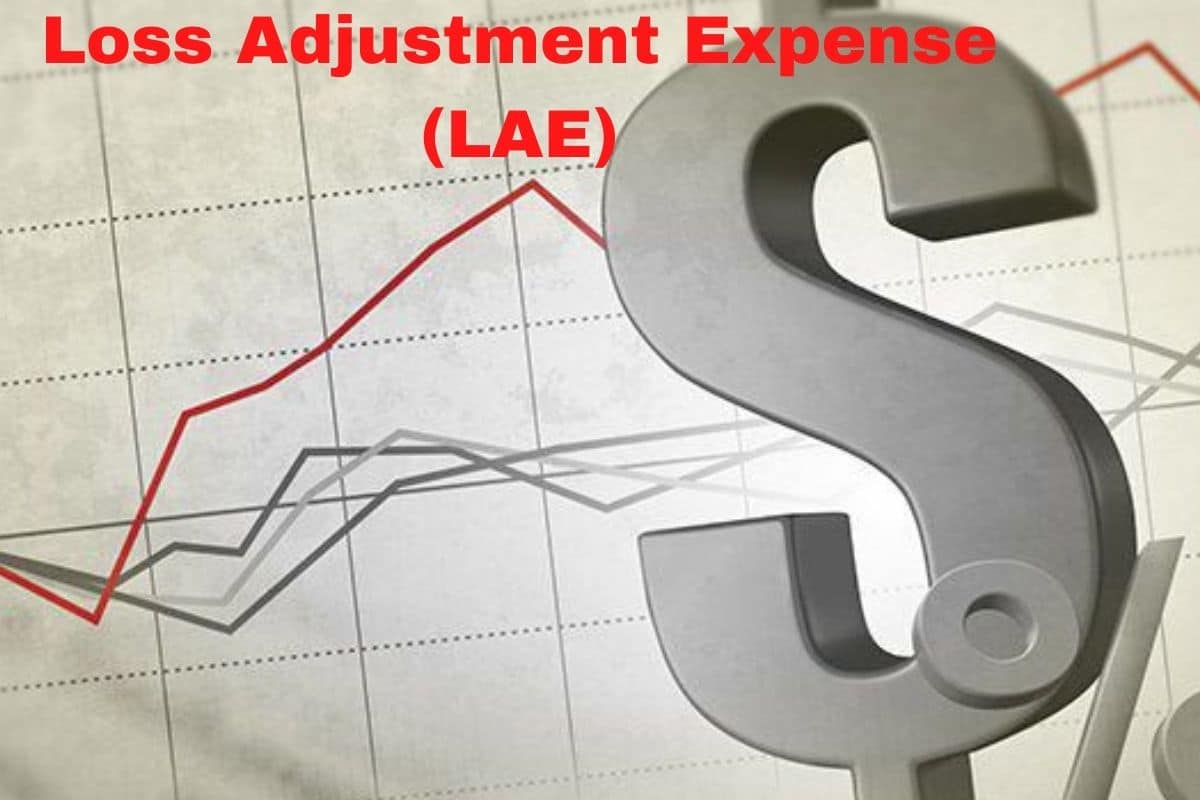 Losses and Loss-Adjustment Expense What it is How it Works