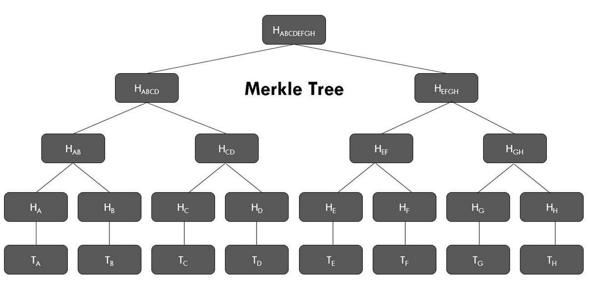 Merkle Tree in Blockchain What it is and How it Works