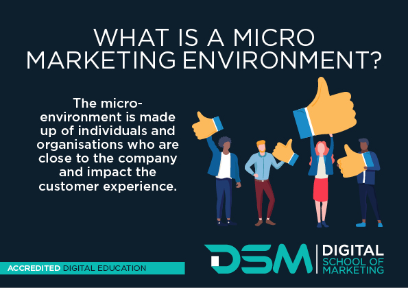 Micromarketing Explained Definition Uses and Examples