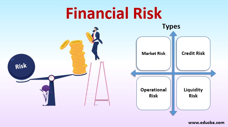Risk Financing Overview Indicator of Financial Health