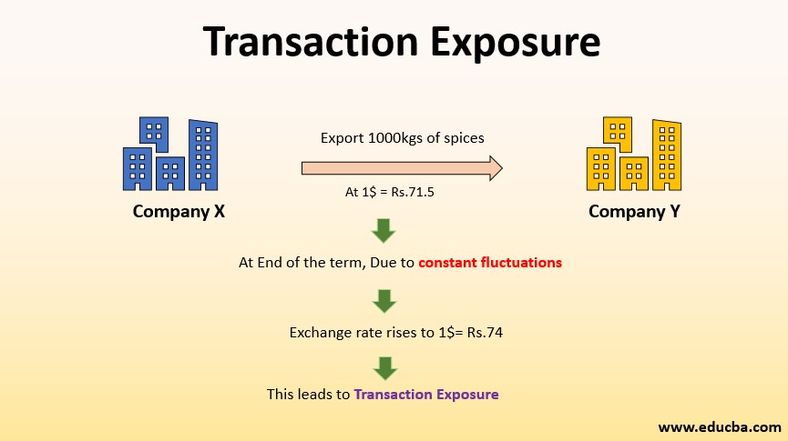 Transaction Exposure Definition Example Hedging Strategies