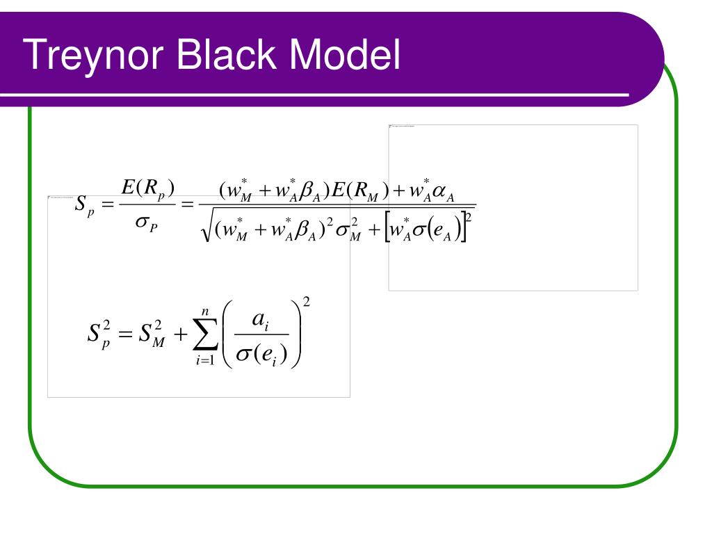 Treynor-Black Model Meaning and Examples