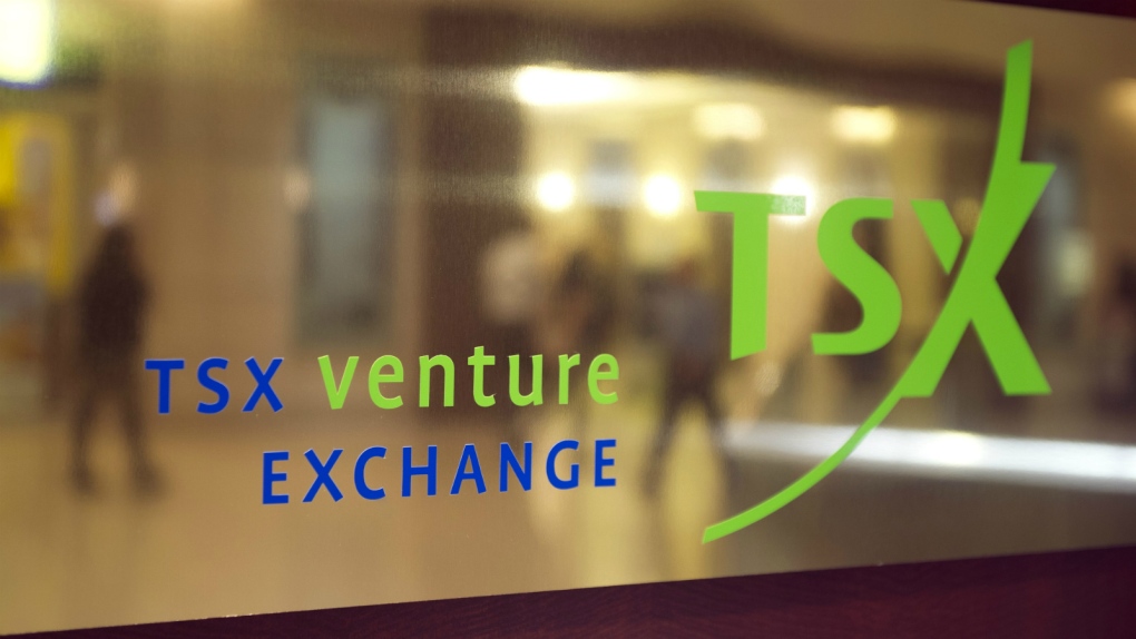 TSX Venture Exchange What it is How it Works