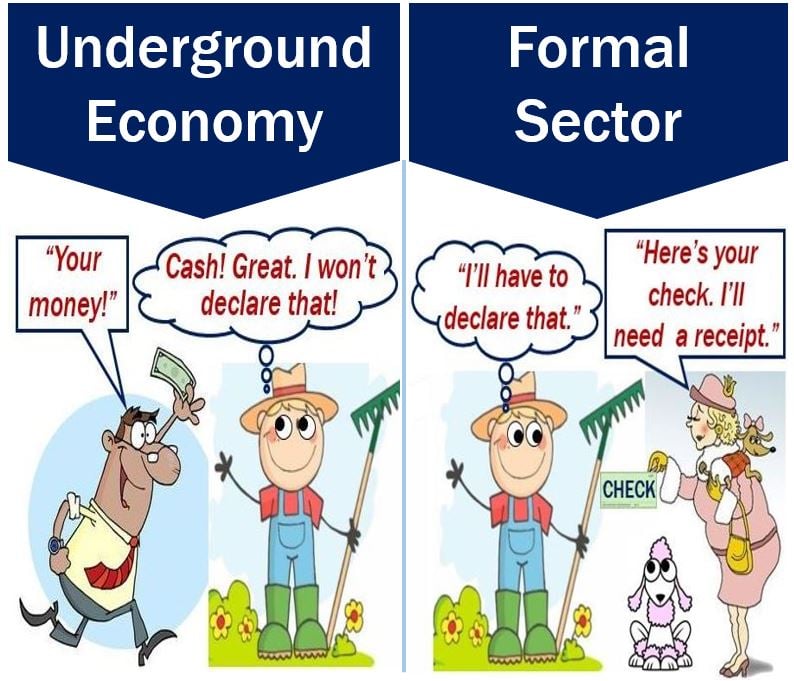 Underground Economy Definition Statistics Trends and Examples
