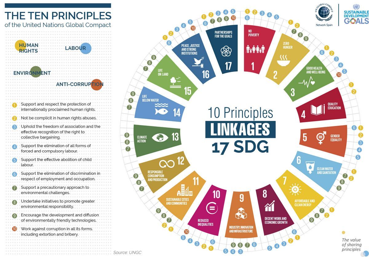 United Nations Global Compact Definition Purpose 10 Principles