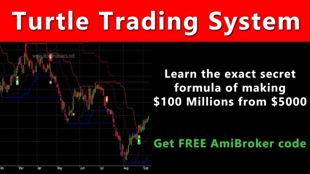Turtle What It Means How It Works Trading System