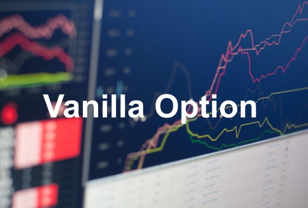Vanilla Option Definition Types of Option Features and Example