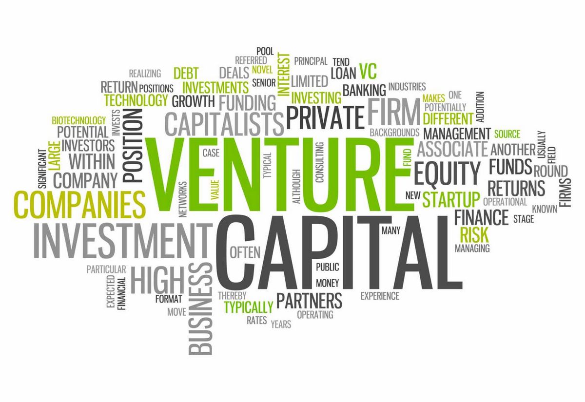 Venture Capital Funds Definition for Investors and How It Works