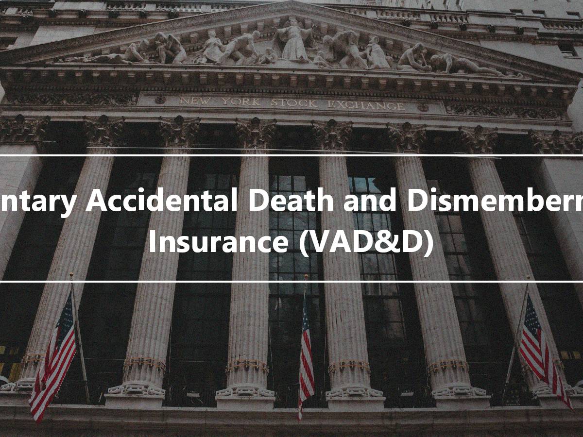 Voluntary Accidental Death and Dismemberment Insurance VAD D