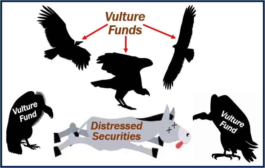 Vulture Fund What it is How it Works Examples