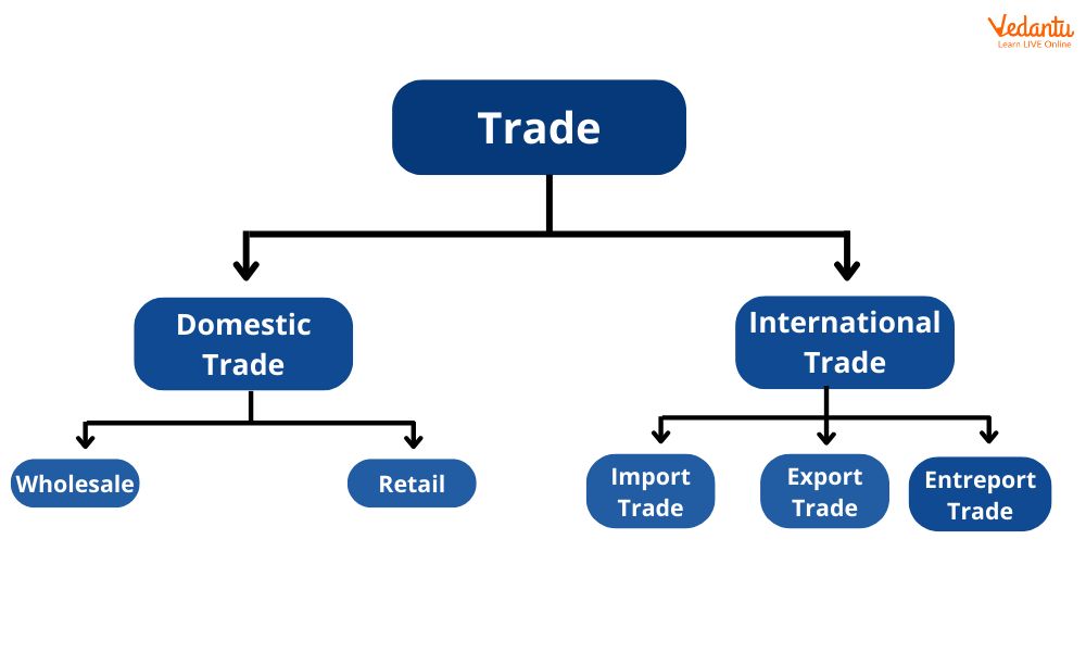 Trade Line Definition How It Works and Included Records