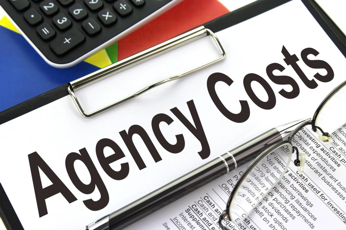 What Are Agency Costs Included Fees and Example