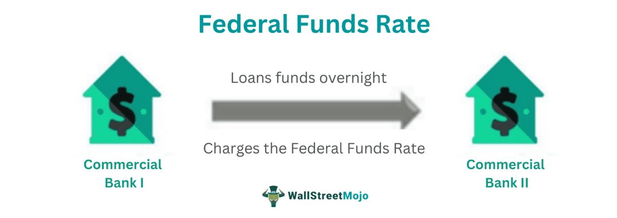 What Are Federal Funds Definition and How Loans and Rates Work