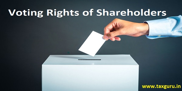 What Are Stockholder Voting Rights and Who Gets a Vote