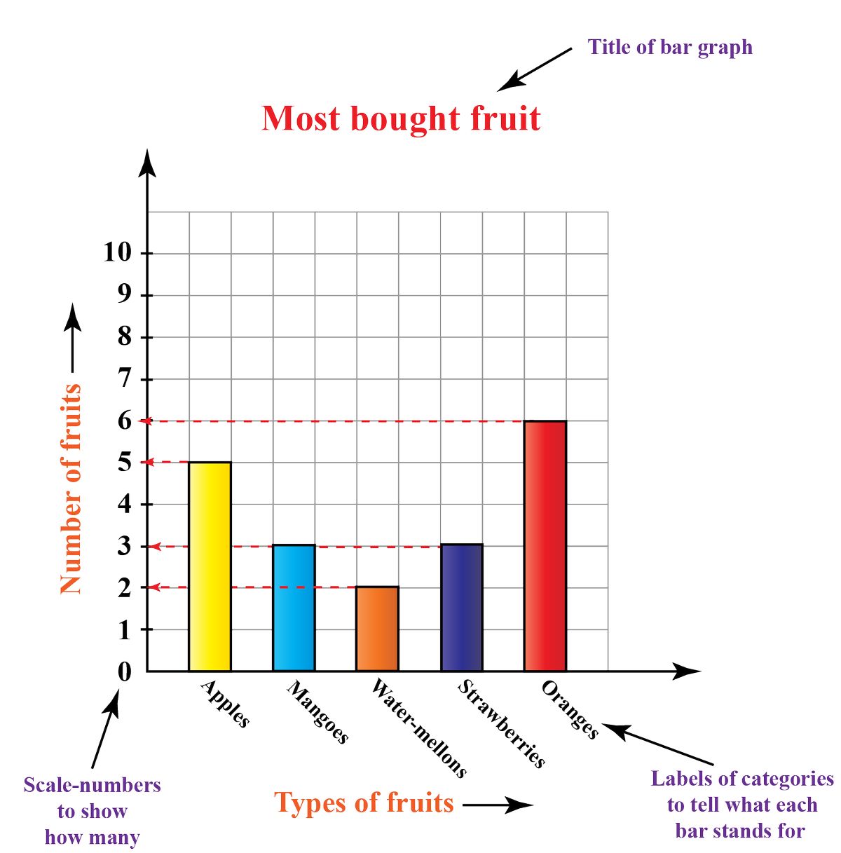 What Is a Bar Graph