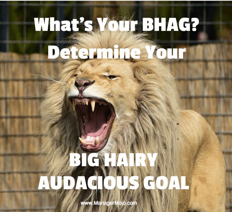 What Is a Big Hairy Audacious Goal BHAG Categories and Example