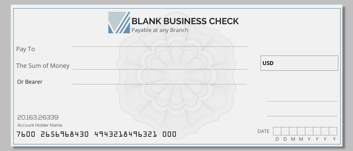 What Is a Blank Check Company How They Work Risks and Example