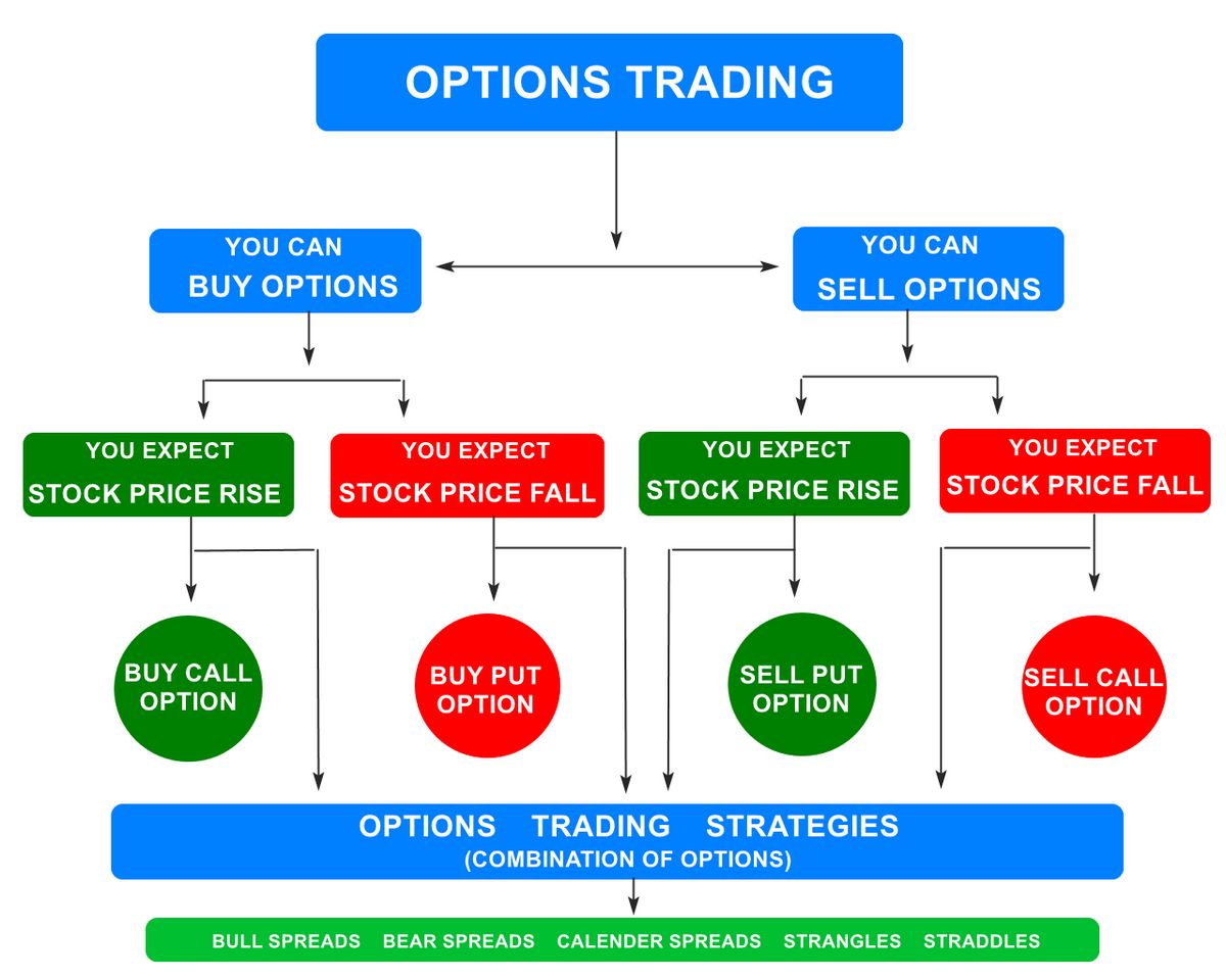 What Are Stock Options Parameters and Trading With Examples