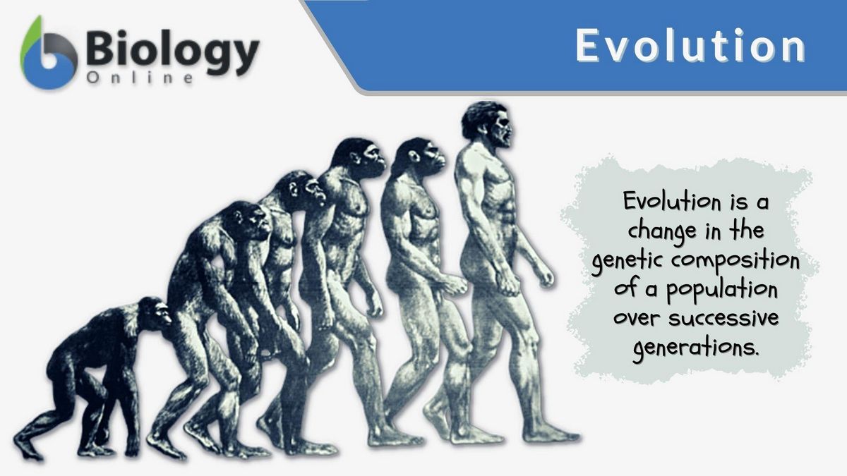 What Is a C-Note Definition Meaning Originiation and Evolution