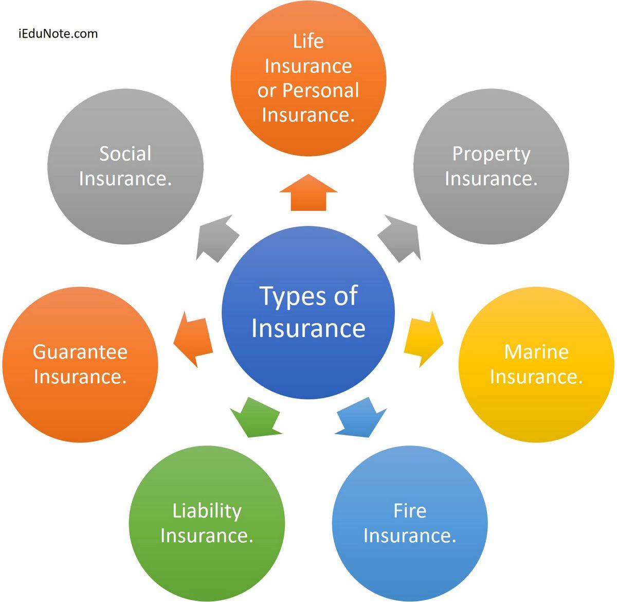 What Is a Collectible Definition Investing Insurance and Types