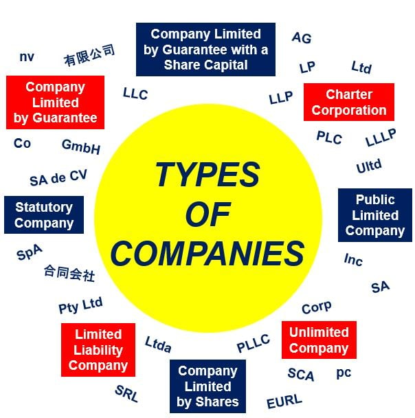 What Is a Company How to Start One Different Types